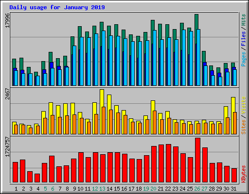 Daily usage for January 2019