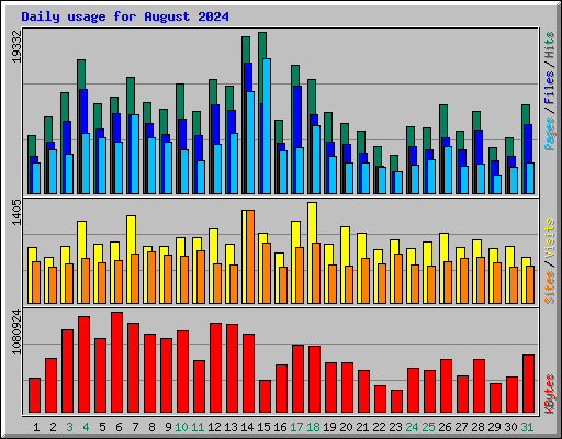 Daily usage for August 2024