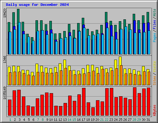 Daily usage for December 2024