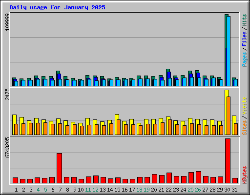 Daily usage for January 2025