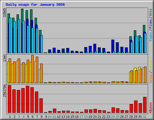 Daily usage for January 2026