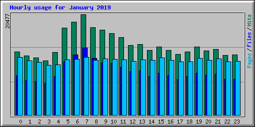Hourly usage for January 2019
