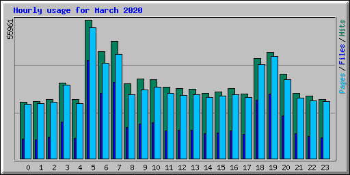 Hourly usage for March 2020