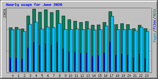 Hourly usage for June 2020