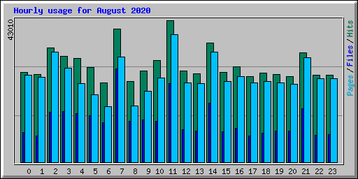 Hourly usage for August 2020