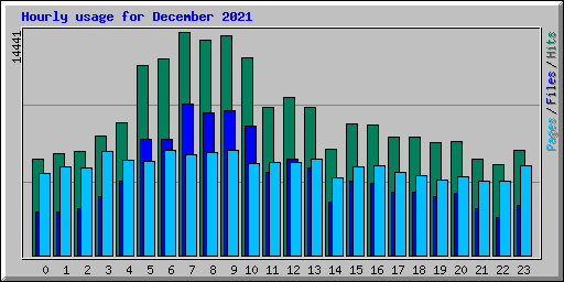Hourly usage for December 2021