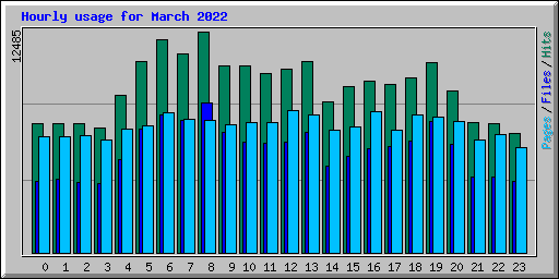 Hourly usage for March 2022