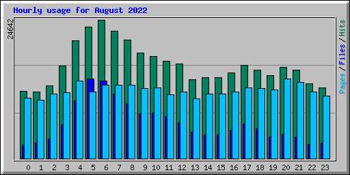 Hourly usage for August 2022