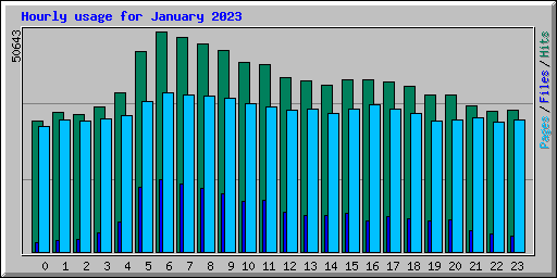 Hourly usage for January 2023