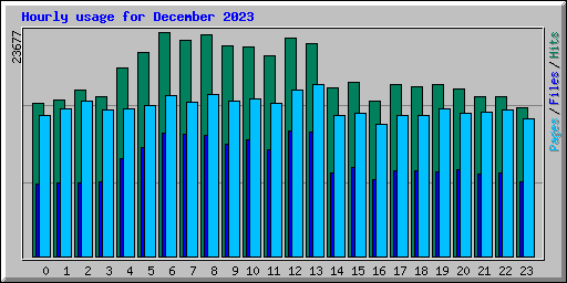 Hourly usage for December 2023