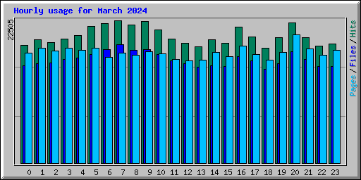 Hourly usage for March 2024