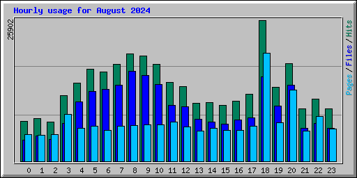 Hourly usage for August 2024