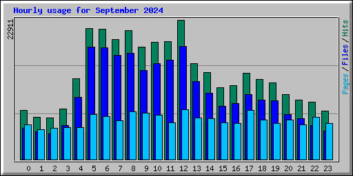 Hourly usage for September 2024