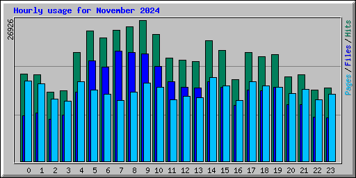 Hourly usage for November 2024