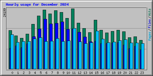 Hourly usage for December 2024