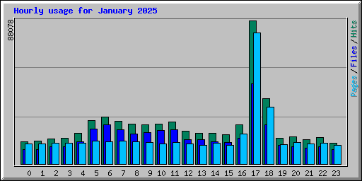 Hourly usage for January 2025