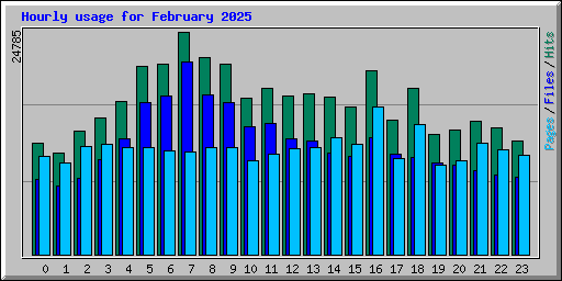 Hourly usage for February 2025