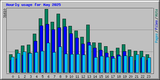 Hourly usage for May 2025