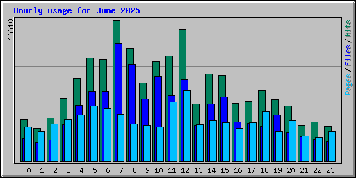 Hourly usage for June 2025