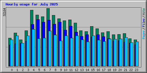 Hourly usage for July 2025