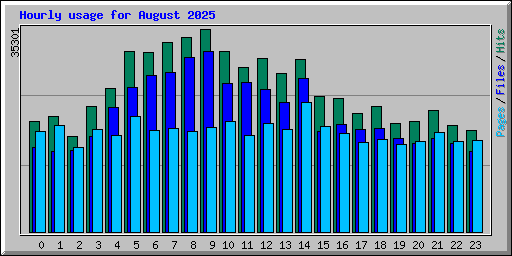 Hourly usage for August 2025