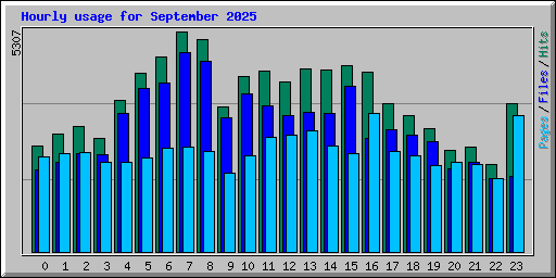 Hourly usage for September 2025