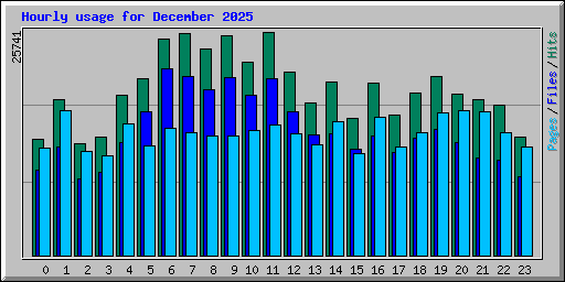Hourly usage for December 2025
