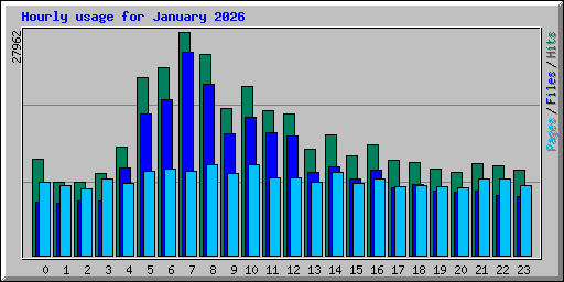 Hourly usage for January 2026
