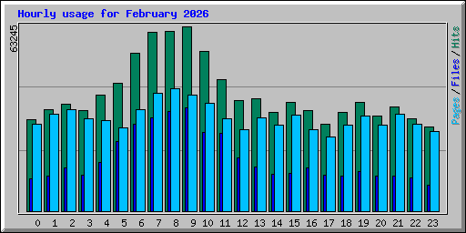 Hourly usage for February 2026