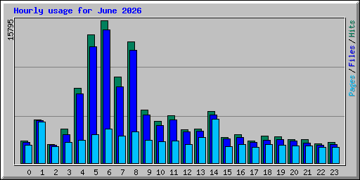 Hourly usage for June 2026